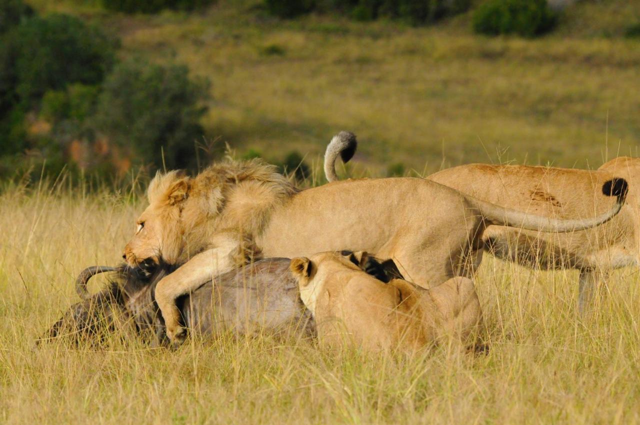 Botlierskop Private Game Reserve Reebok Екстер'єр фото