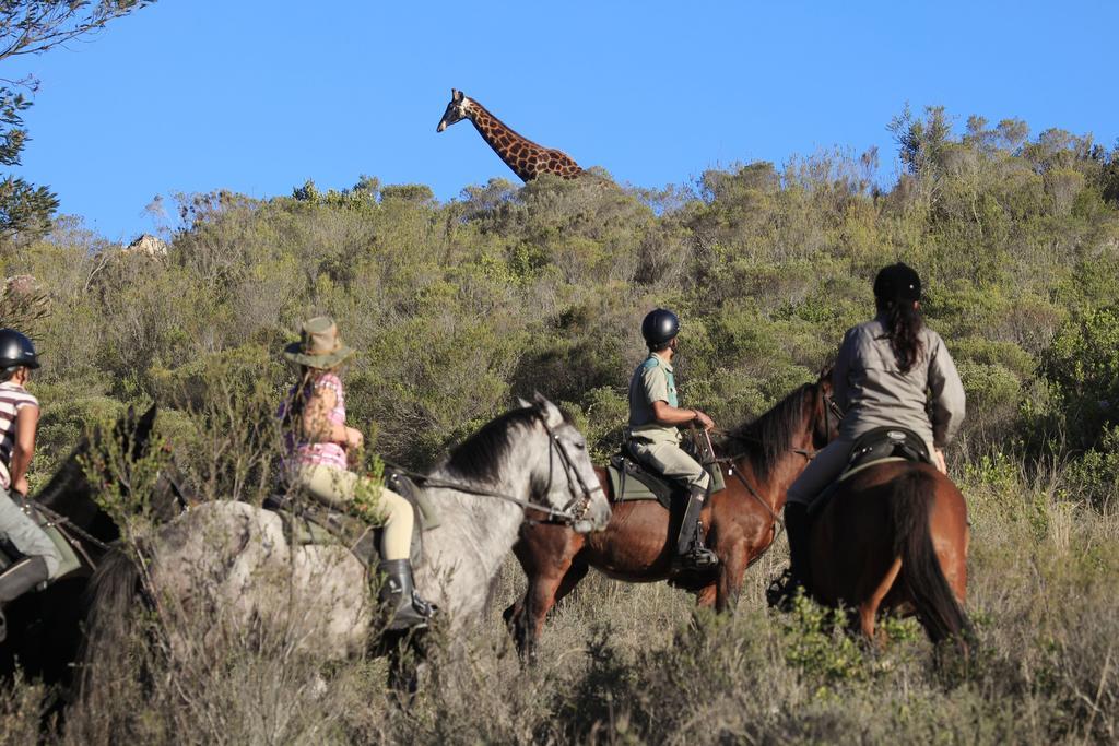 Botlierskop Private Game Reserve Reebok Екстер'єр фото