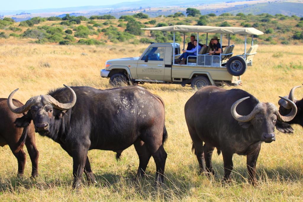 Botlierskop Private Game Reserve Reebok Екстер'єр фото